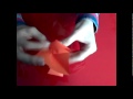 3 - Origami Fleur De Pavot Facile à Réaliser