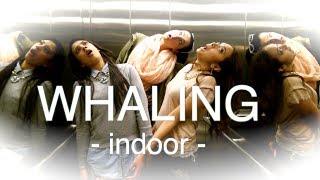 WHALING indoor