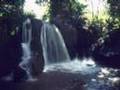 mayer waves & impressions from africa