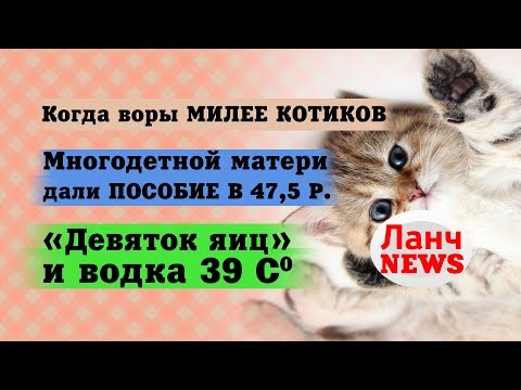 Баян. Воры залезли к бабушке и оставили ей 500 рублей на жизнь Баян. Воры залезли к бабушке и оставили ей 500 рублей на жизнь