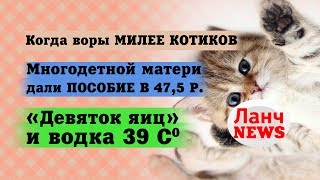 Баян. Воры залезли к бабушке и оставили ей 500 рублей на жизнь