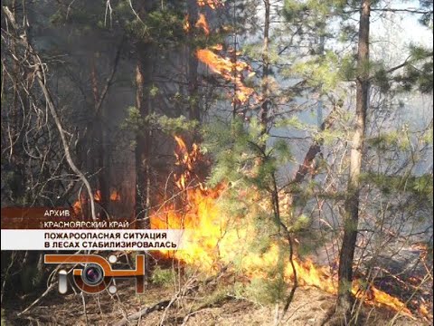 Пожароопасная ситуация в лесах стабилизировалась