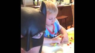 BatDad Vine Compilation 3