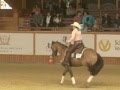 Reinhill Ranch 61100