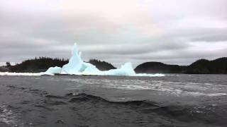 Iceberg collapses off Newfoundland