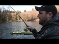 Olympic Peninsula Steelhead