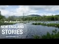 3 days in New Hampshire