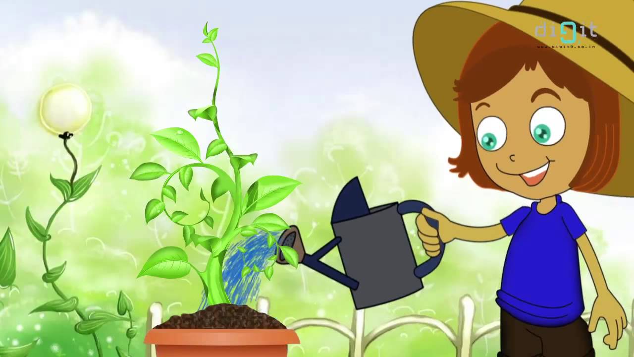 Let's Water The Plants Today - Animated Song For Kids! - YouTube