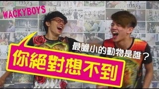 海獅的笑話【WACKYBOYS 每日笑笑 】