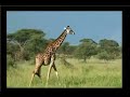 Tanzania Vacation