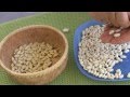 Bohnenkerne selbst präparieren