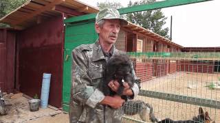 Приют Сергея Фокина для бездомных животных