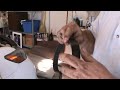 2007 Camry Serpentine Belt Replace - 4 Cyl, 2.4 liter engine