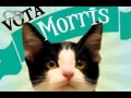 CANCION DEL 'CANDIGATO MORRIS'
