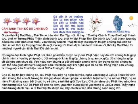 Căn Tánh Tịnh Độ Đã Chín Muồi (Rất Hay)