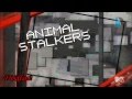 Ridiculousness Animal Stalkers & Cats are Weird