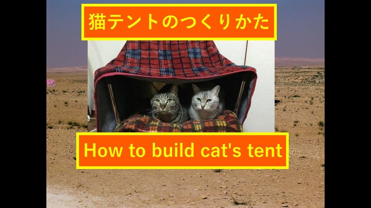 猫用のテントの作り方