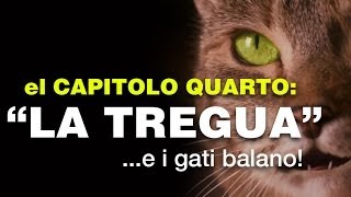 Ma elo vera che i magna i gati? Capitolo Quarto: "La tregua...e i gati balano!"