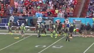 There's Always One - Katrina Torres on the field at the 2014 NFL Pro Bowl!