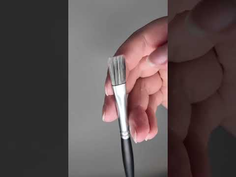 Nova Color Essential Brush Bundle