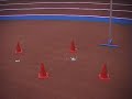 Thumbnail 2 for High Jump Run-Up Calculation Thumbnail 2 for High Jump Run-Up Calculation