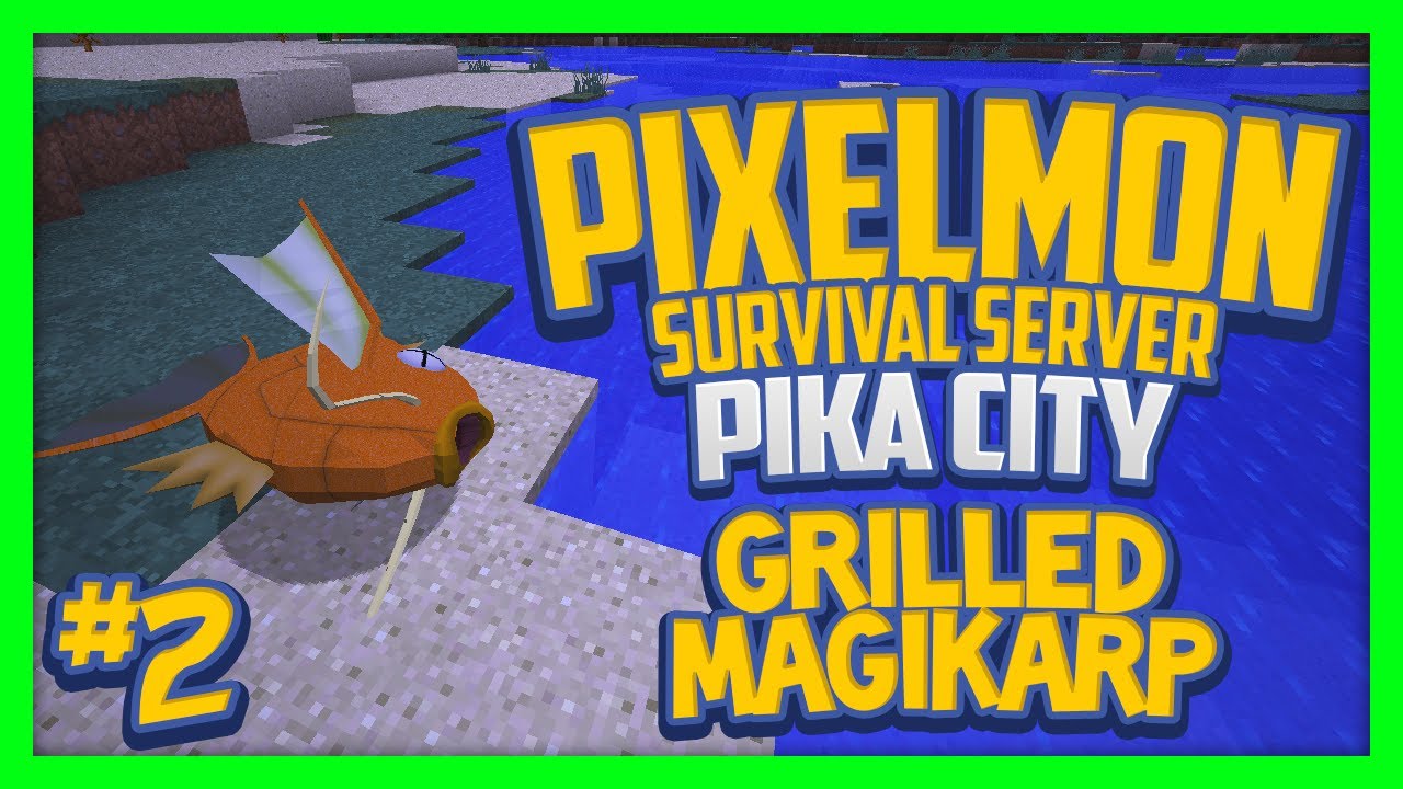 pika server ip pika server ip