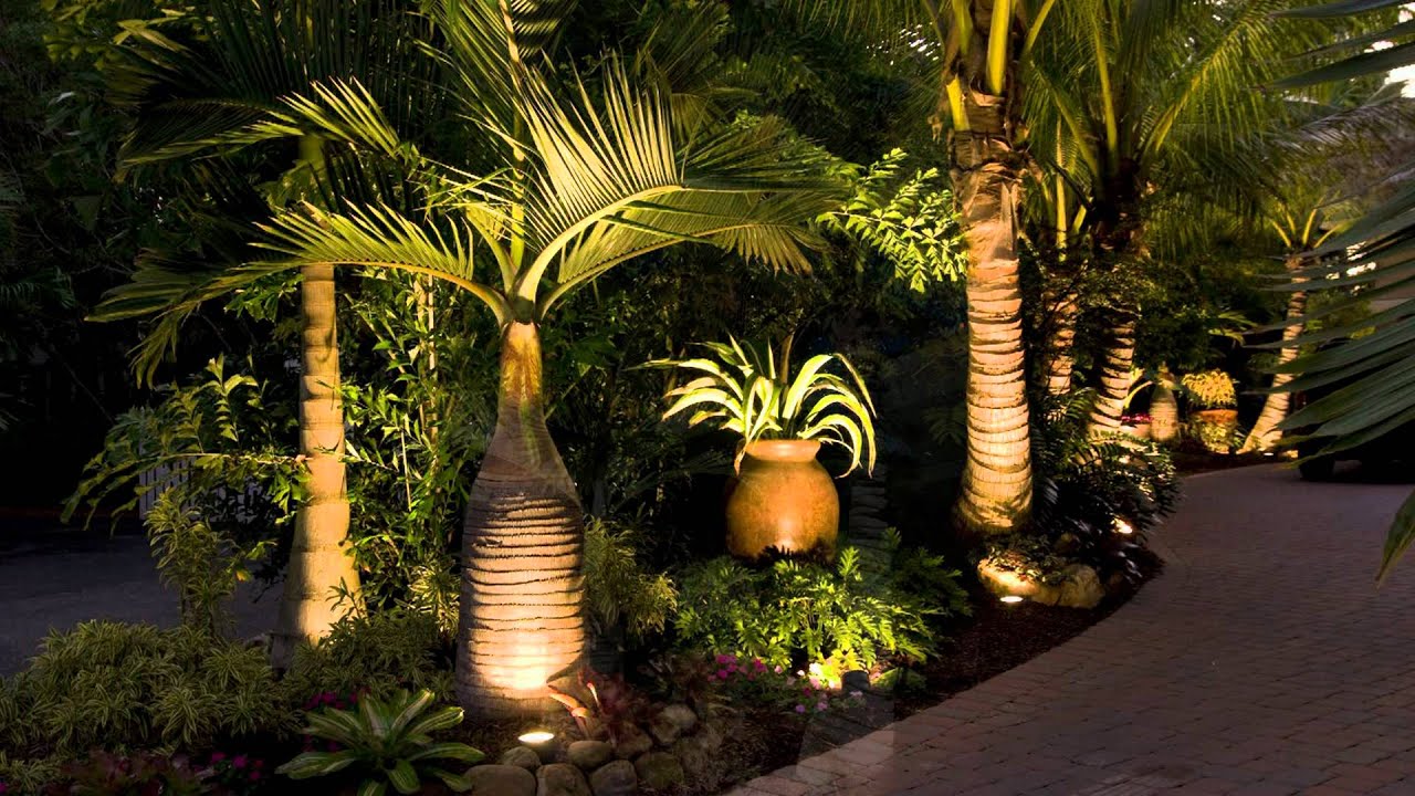 Landscaping Sarasota Florida with Tropical Palm Trees - YouTube