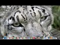 Como instalar Mod Aether no Minecraft 1.2.5?(Tutorial)