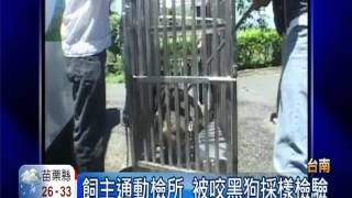 鼬獾闖南化民宅咬狗 確染狂犬病