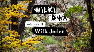 Wilki dwa. Odcinek 11: Wilk Jeden