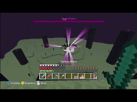 Ender Dragon