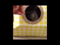 Nala Cat - Video Tribute 1