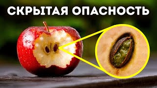 Секреты питания, которые могут спасти вашу жизнь и деньги