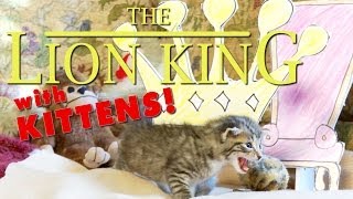 The Lion King (Cute Kitten Version)