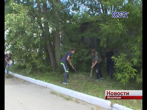 Детская занятость в Искитиме: спрос превышает предложение