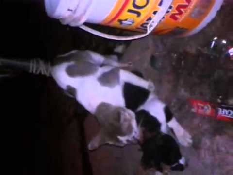 NGINTIP ABG ML - YouTube