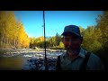 Huge Steelhead and Chinook Salmon Fishing Holidays in British Columbia, Canada with FishSkeena