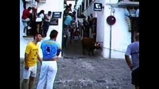 Toro de Cuerda Grazalema 2013.