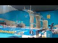 Olympic Womens Diving