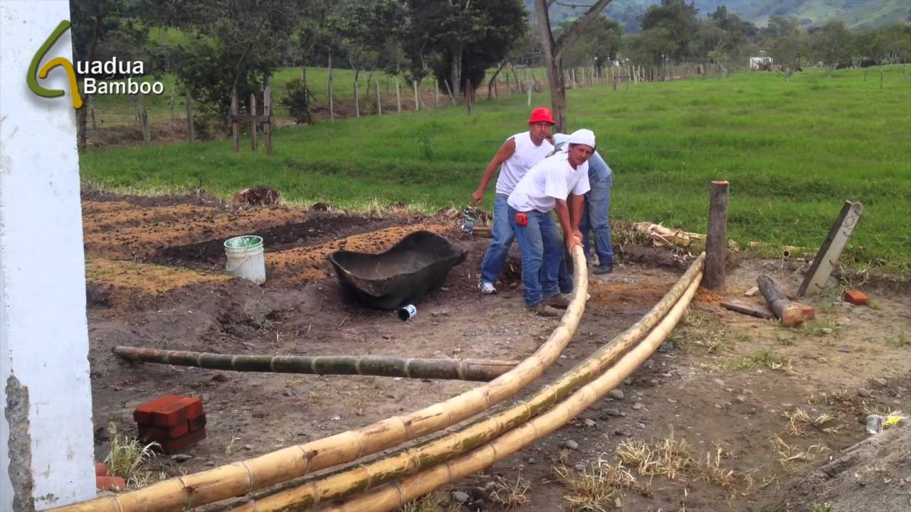 Bending Dry Bamboo Poles YouTube