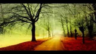Way to Heaven - Reiki Music