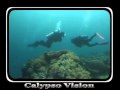 Scuba Dive on Dungan Wall with Atlantis Resorts of Puerto Galera Mindoro Philippines