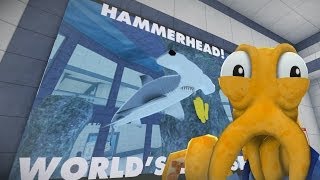 Octodad - Dadliest Catch - Aquarium [3]