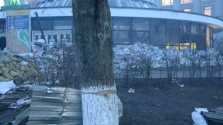 Трупы после авантюры майдана