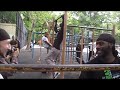 Calisthenics Meet up at TSP