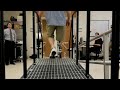 Первый бионический протез ноги на основе электромиографии