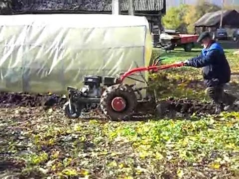 Посадка картофеля на мотоблоке с адаптером Посадка картофеля на мотоблоке с адаптером