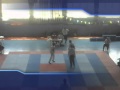 Championnat National de Taekwondo Juniors individuelle Alger 2011