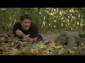 Monitor Lizard Licks Steve's Eye!!! - Deadly 60 - Series 2 - BBC