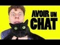 Norman - Avoir un chat